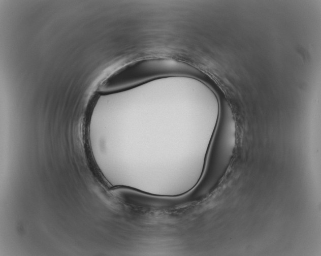 X0000112880244200910021359