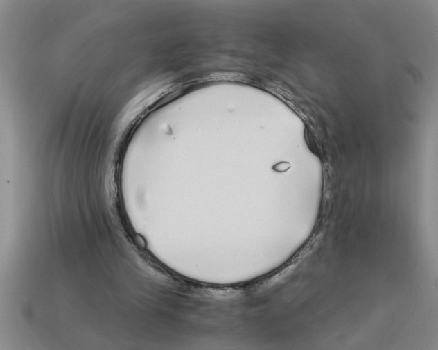 X0000112880245200910021359