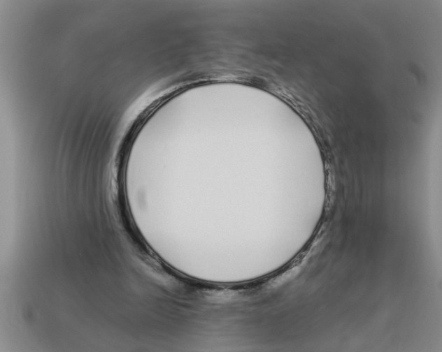 X0000112880246200910021359