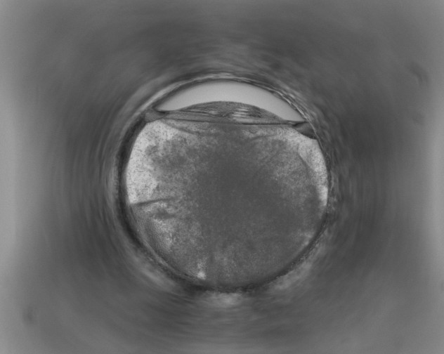 X0000112880247200910021359