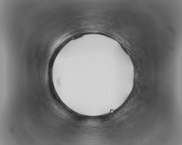 X0000112880248200910021359