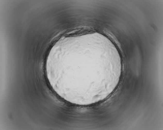 X0000112880249200910021359