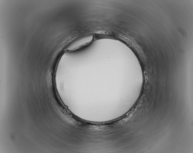 X0000112880250200910021359