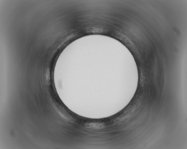 X0000112880251200910021359