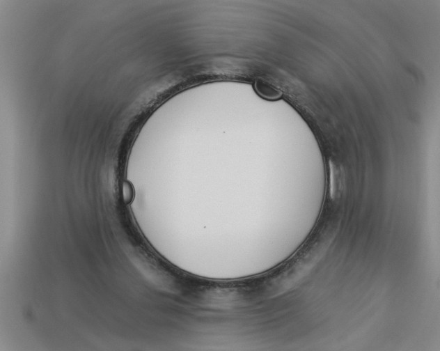 X0000112880252200910021359