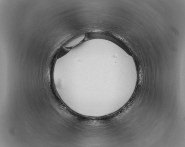 X0000112880254200910021359