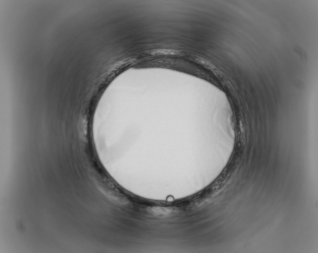 X0000112880255200910021359