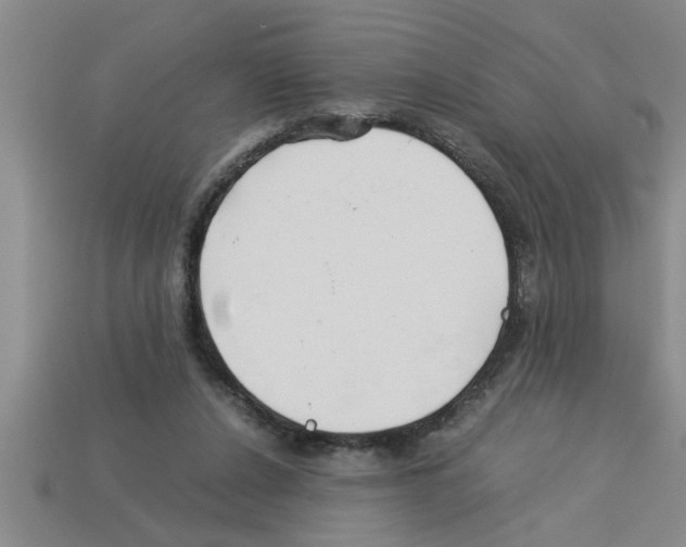 X0000112880256200910021359