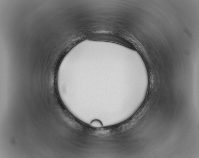 X0000112880257200910021359