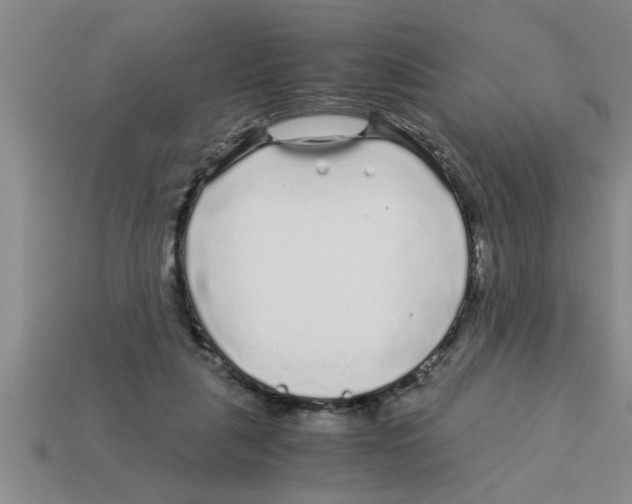 X0000112880259200910021359