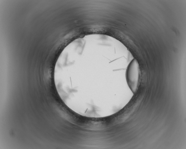 X0000112880260200910021359