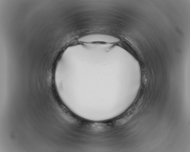 X0000112880261200910021359