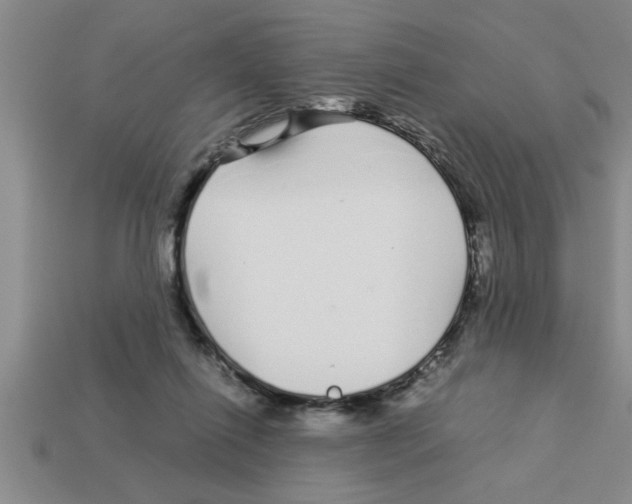 X0000112880262200910021359