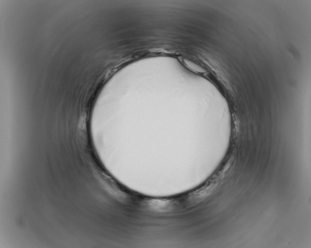 X0000112880265200910021359