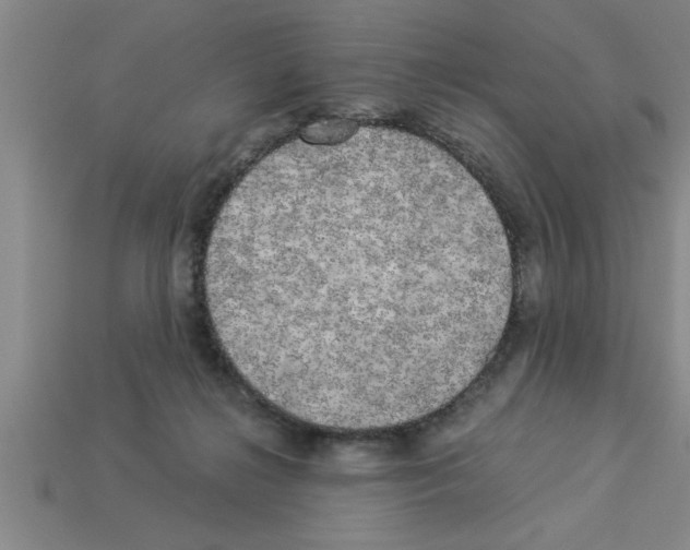 X0000112880268200910021359