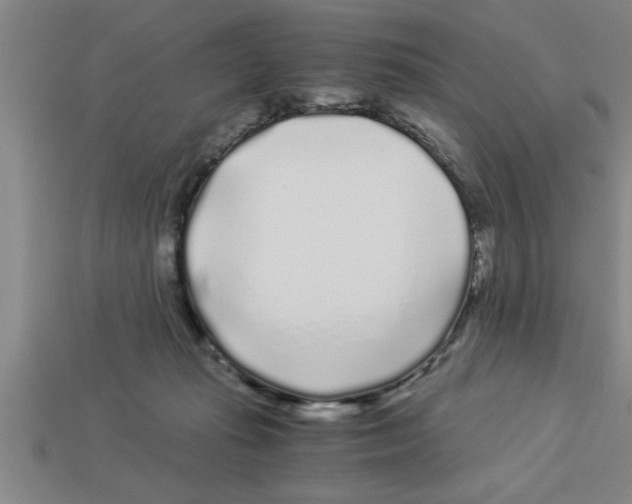 X0000112880269200910021359