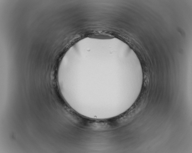 X0000112880270200910021359