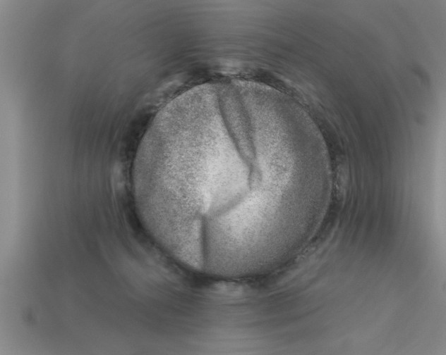 X0000112880272200910021359