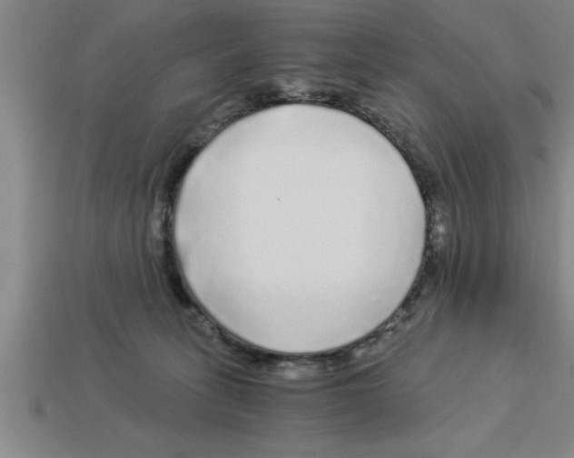 X0000112880275200910021359