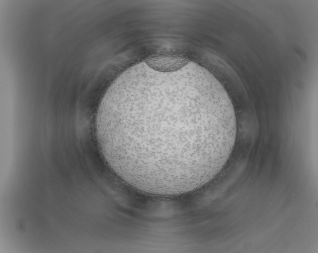 X0000112880276200910021359