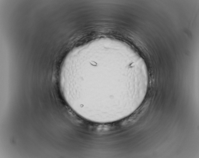 X0000112880277200910021359