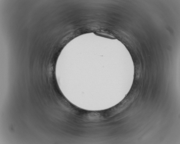 X0000112880279200910021359