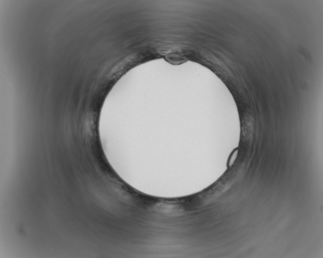 X0000112880280200910021359