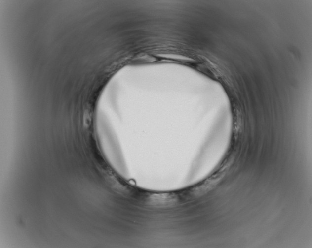 X0000112880281200910021359