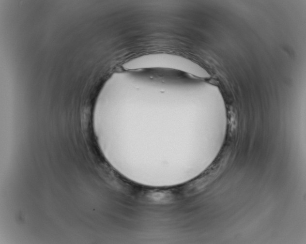 X0000112880283200910021359