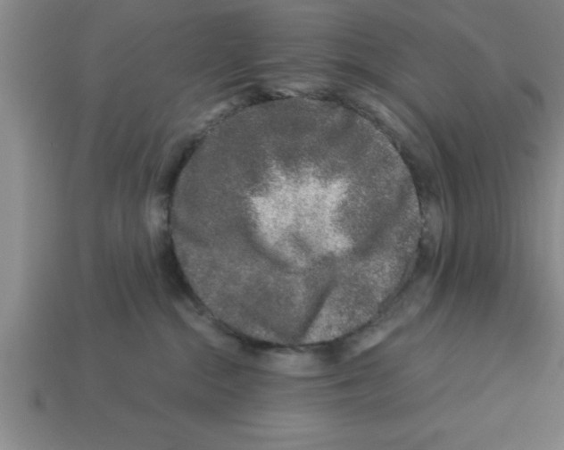 X0000112880284200910021359