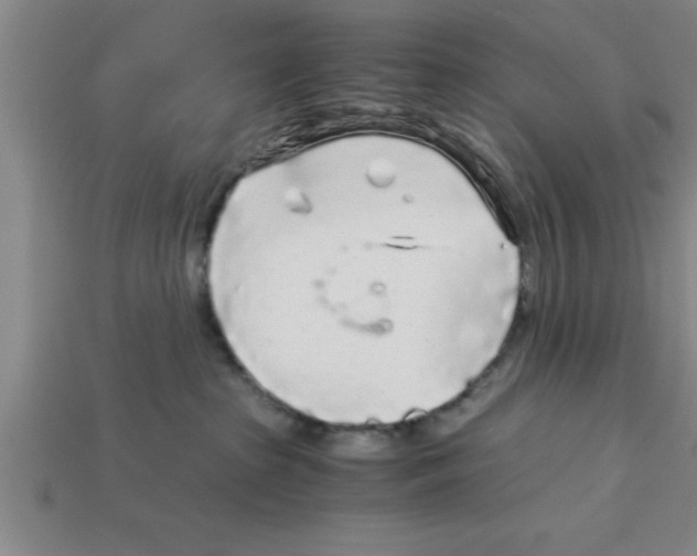 X0000112880285200910021359