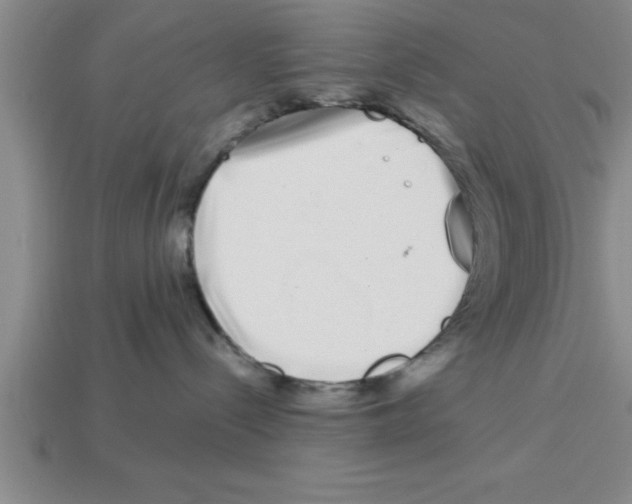 X0000112880288200910021359