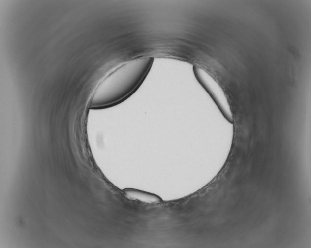 X0000112880289200910021358