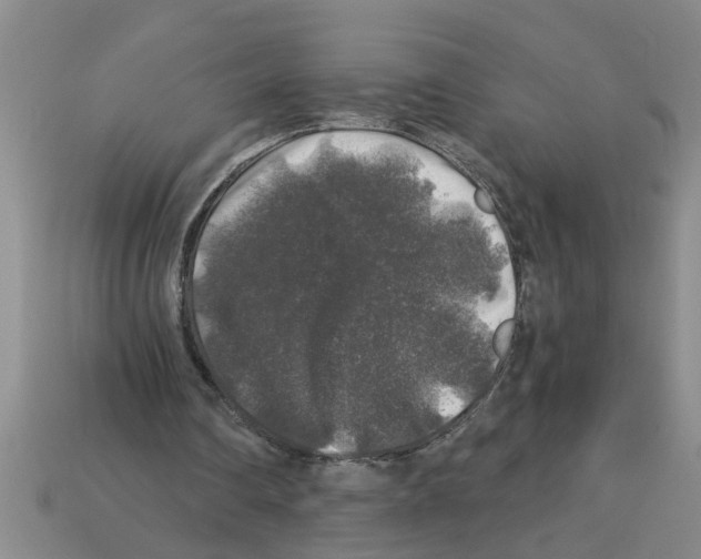 X0000112880290200910021358