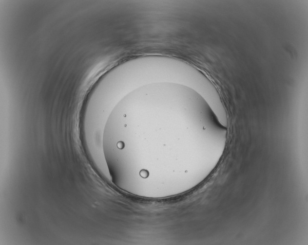 X0000112880293200910021358