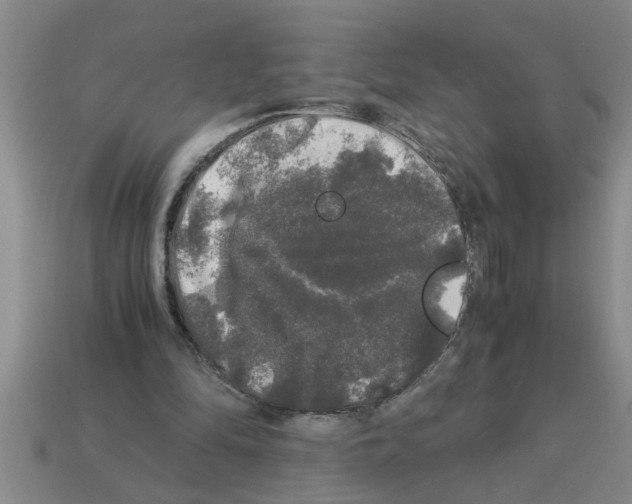 X0000112880294200910021358