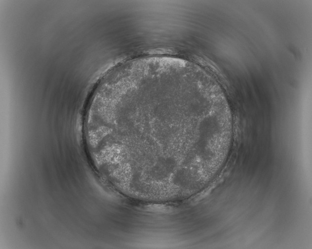 X0000112880298200910021358