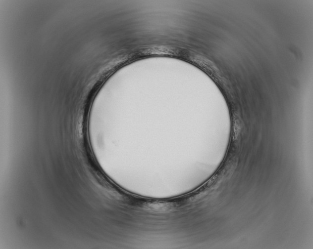 X0000112880299200910021358