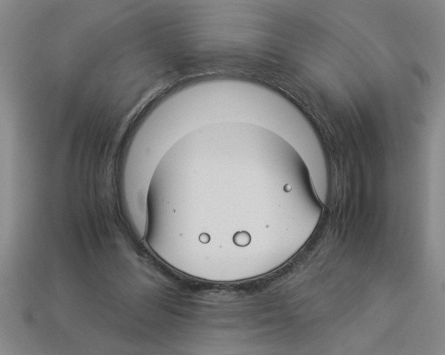 X0000112880300200910021358