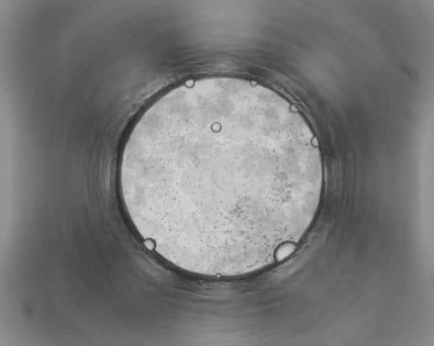 X0000112880301200910021358