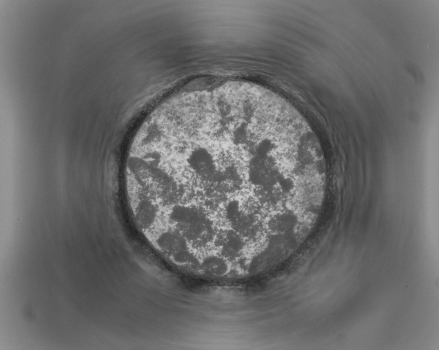 X0000112880303200910021358