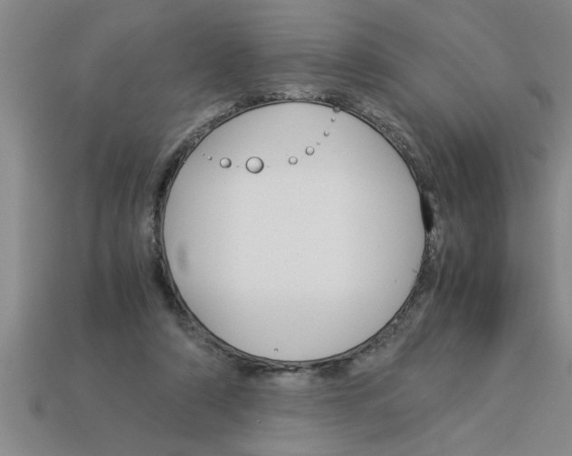 X0000112880306200910021358