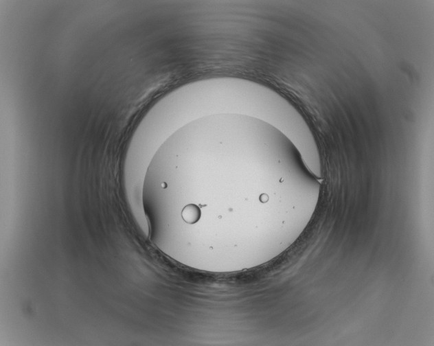 X0000112880308200910021358