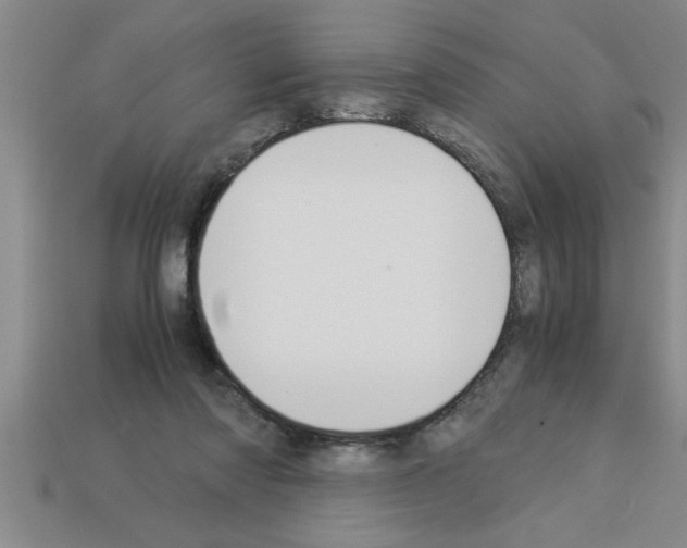 X0000112880310200910021358