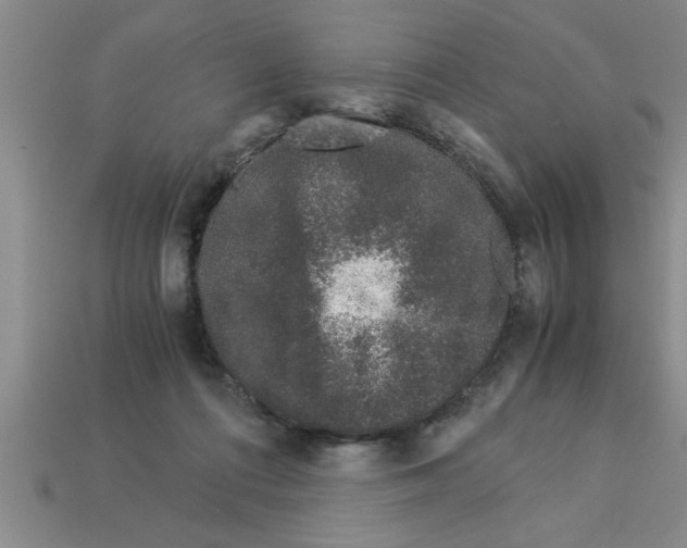 X0000112880312200910021358