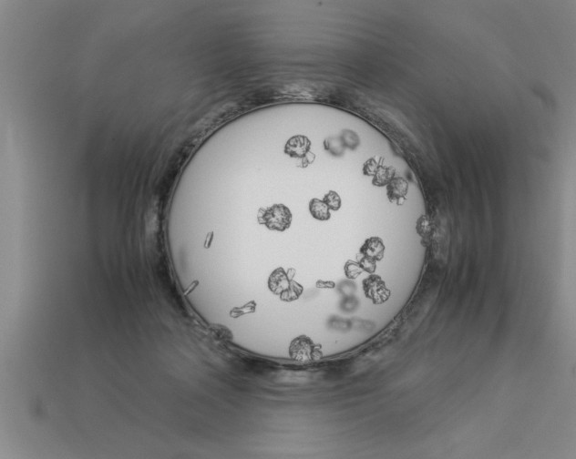 X0000112880314200910021358