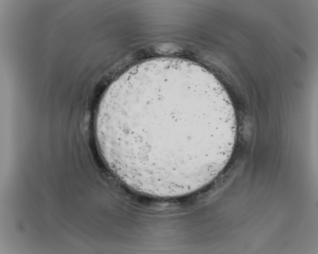 X0000112880319200910021358