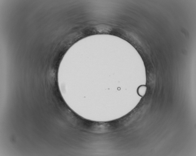 X0000112880321200910021358