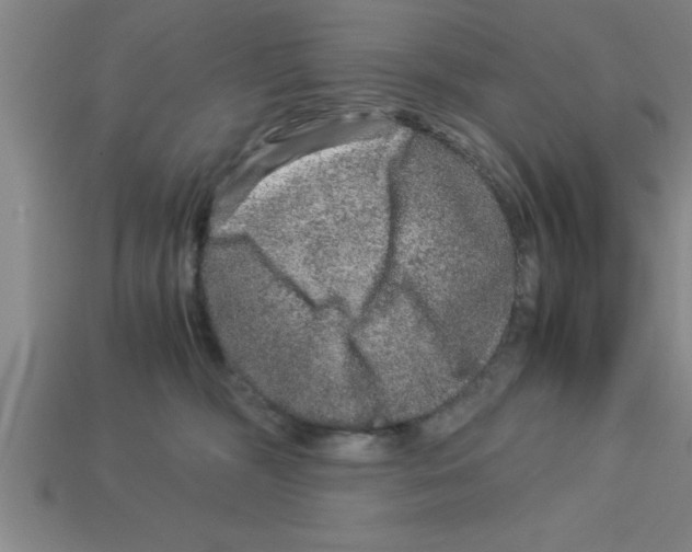 X0000112880326200910021358