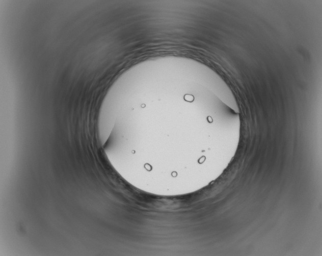 X0000112880328200910021358